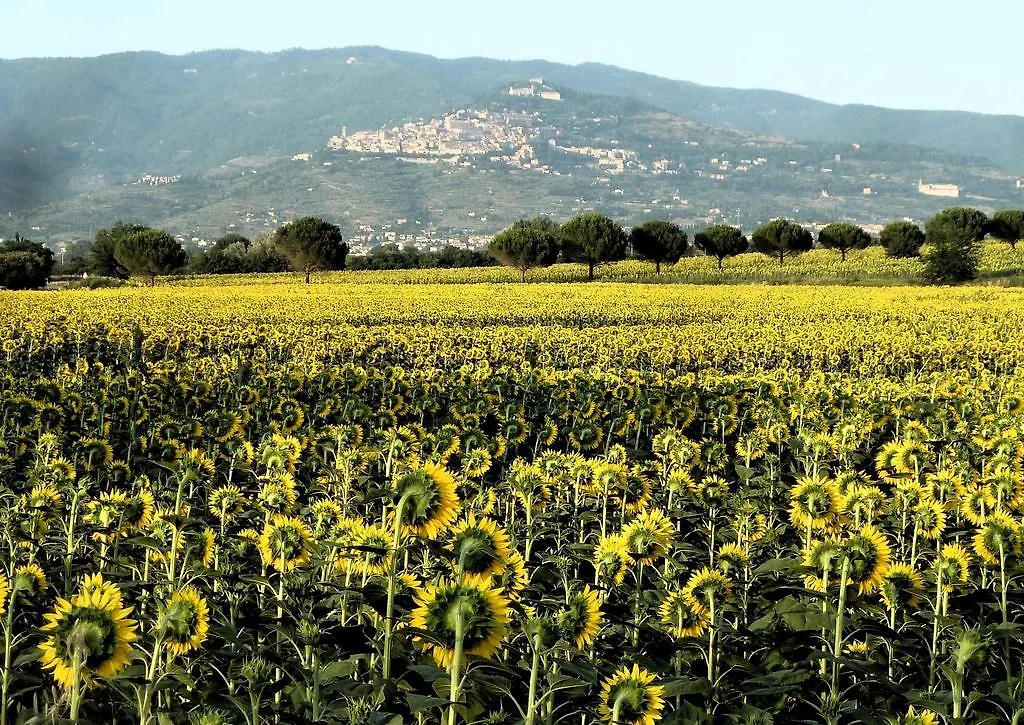 *** Couette-café B&B Gabri Cortone Italie